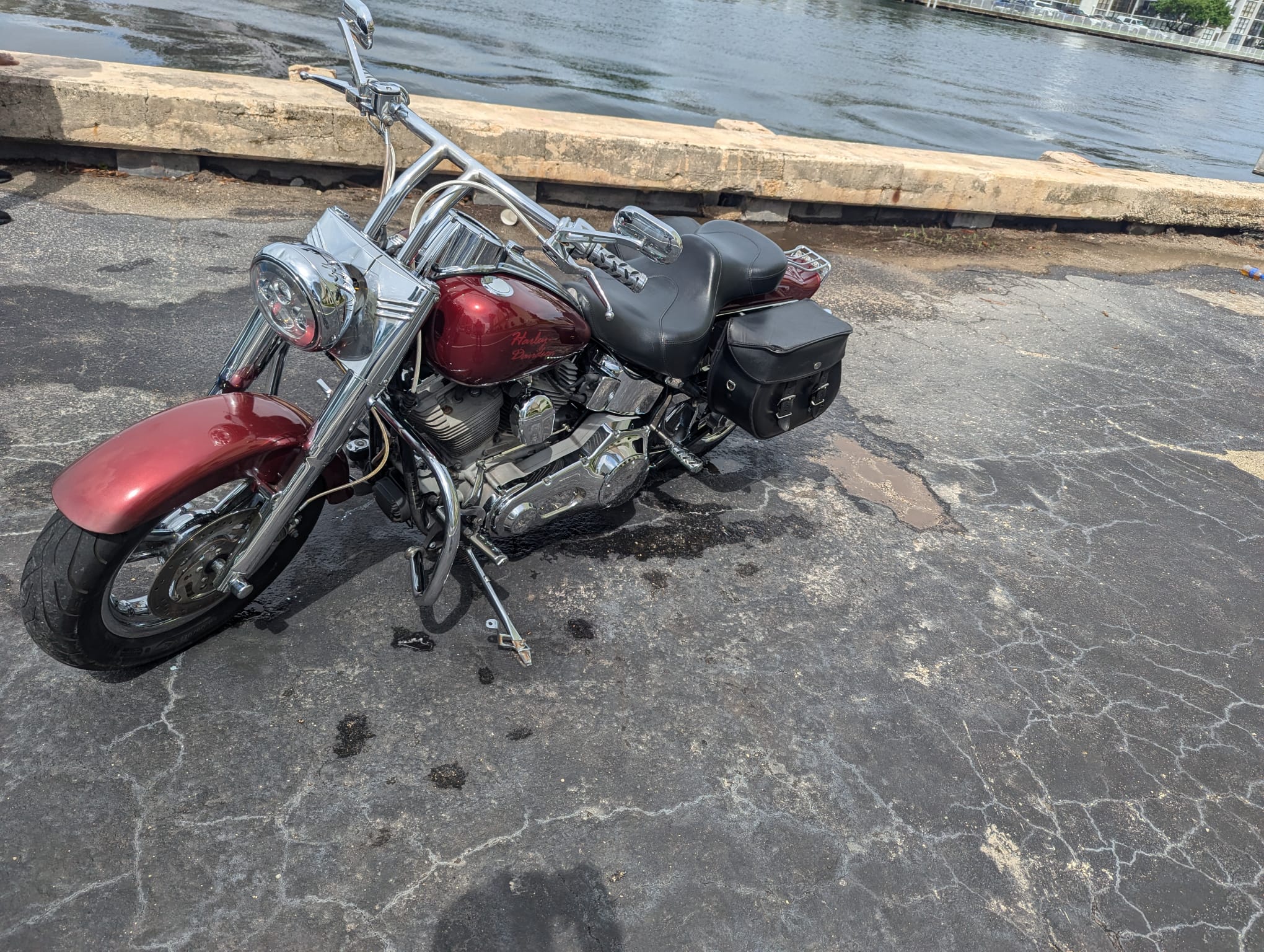 Detailed and polished this Motorcycle in Hollywood Florida 