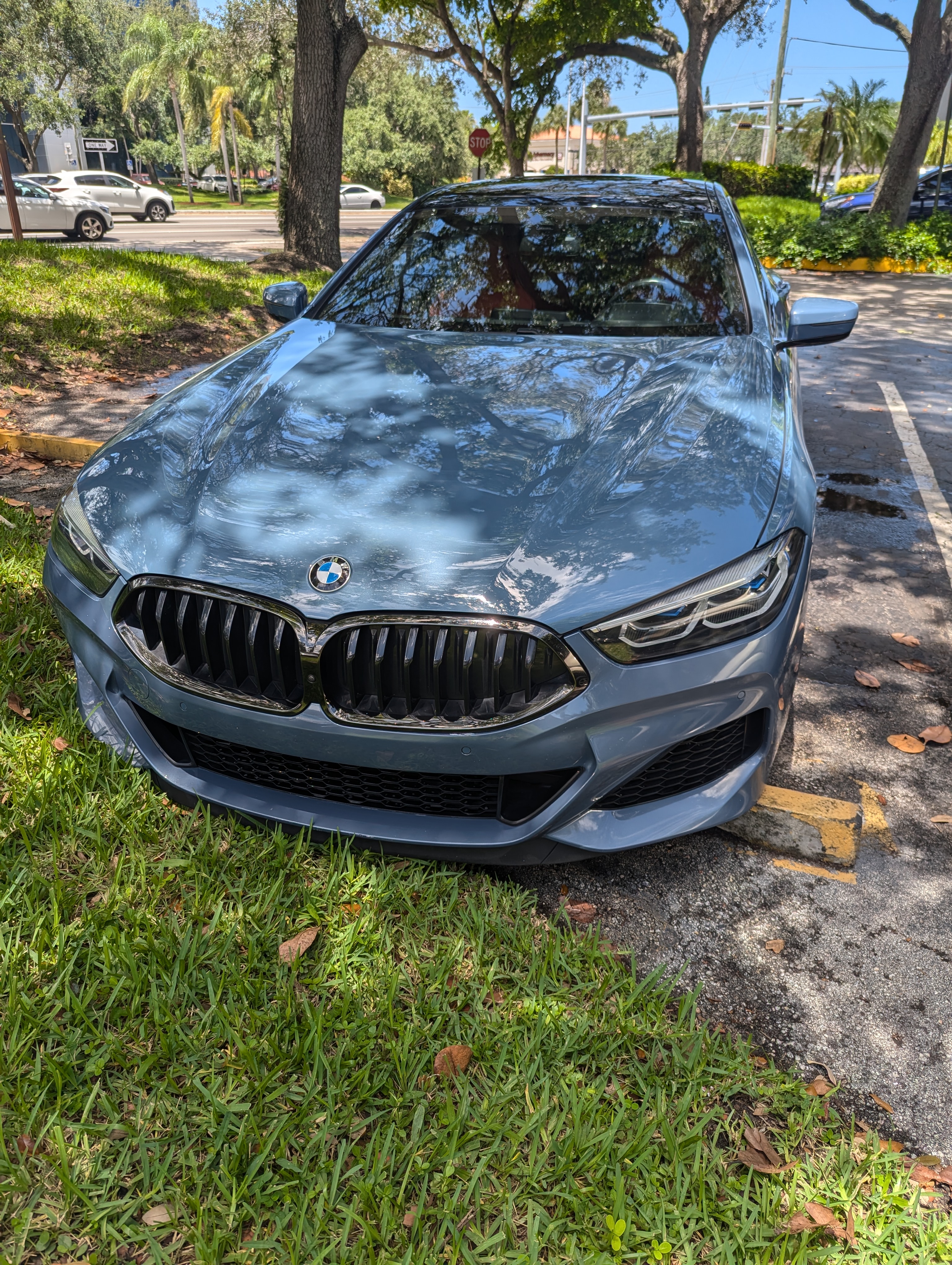 Exterior Car Detailing in Hollywood Florida