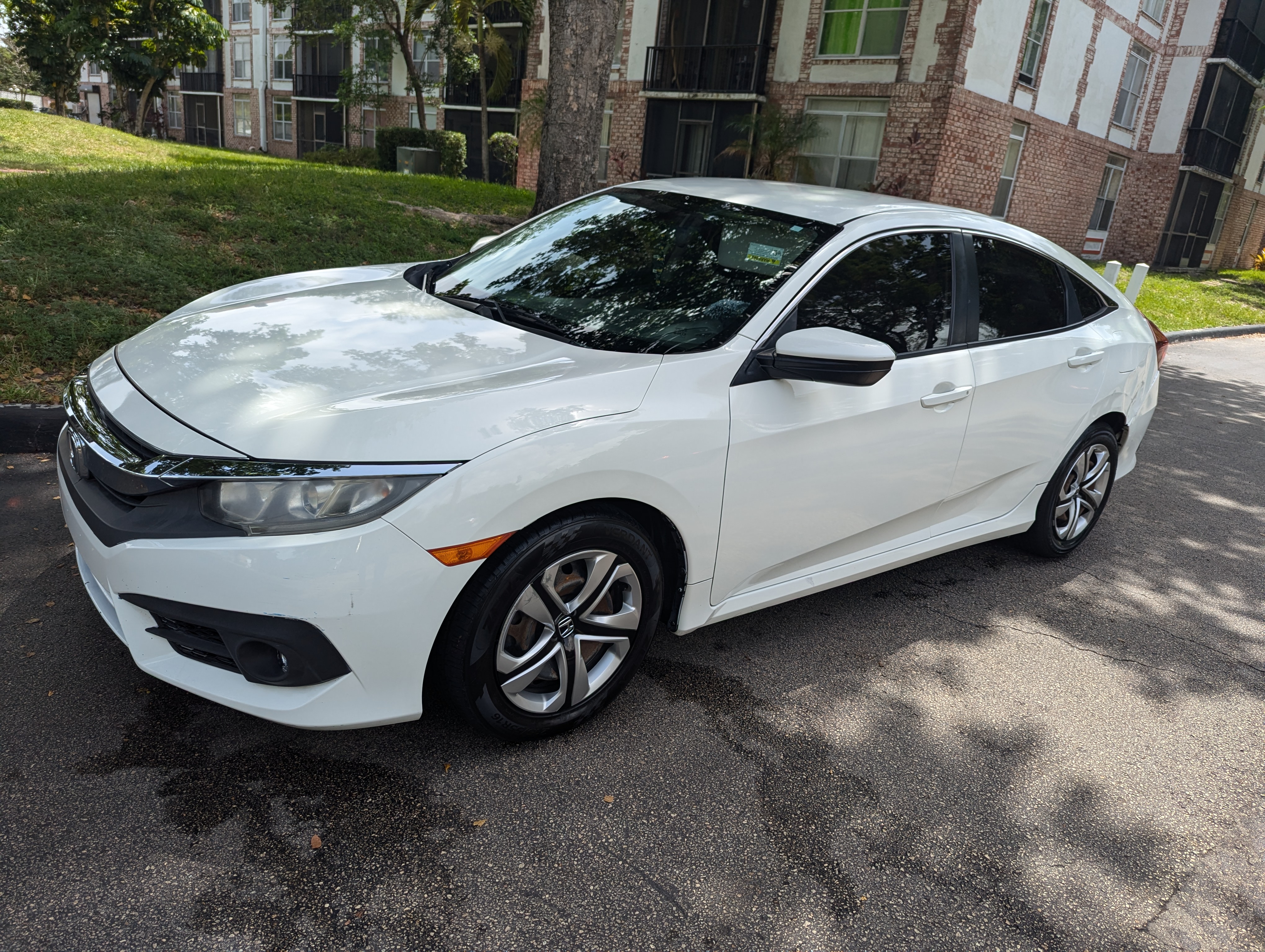 High Quality Full Detail on this Honda Civic in Lauderhill